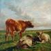 Cattle in Landscape